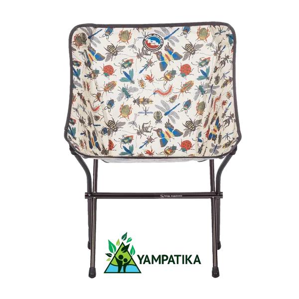 Mica Basin Camp Chair - Bugs