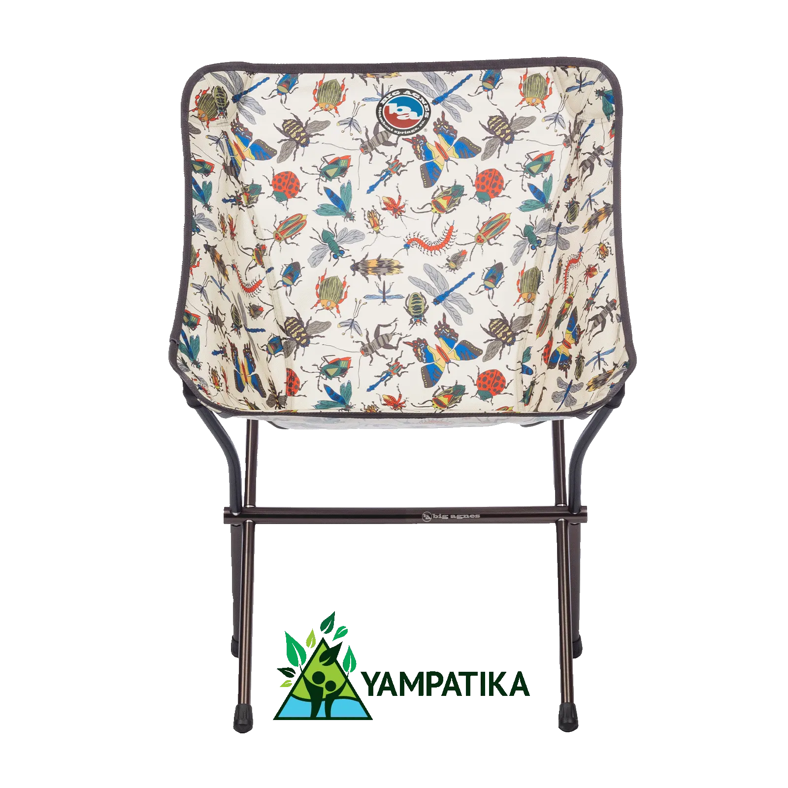 Mica Basin Camp Chair